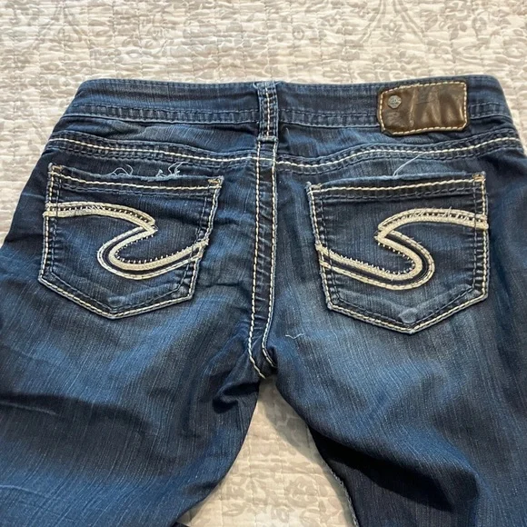 Silver Frances - Picture 2 of 10